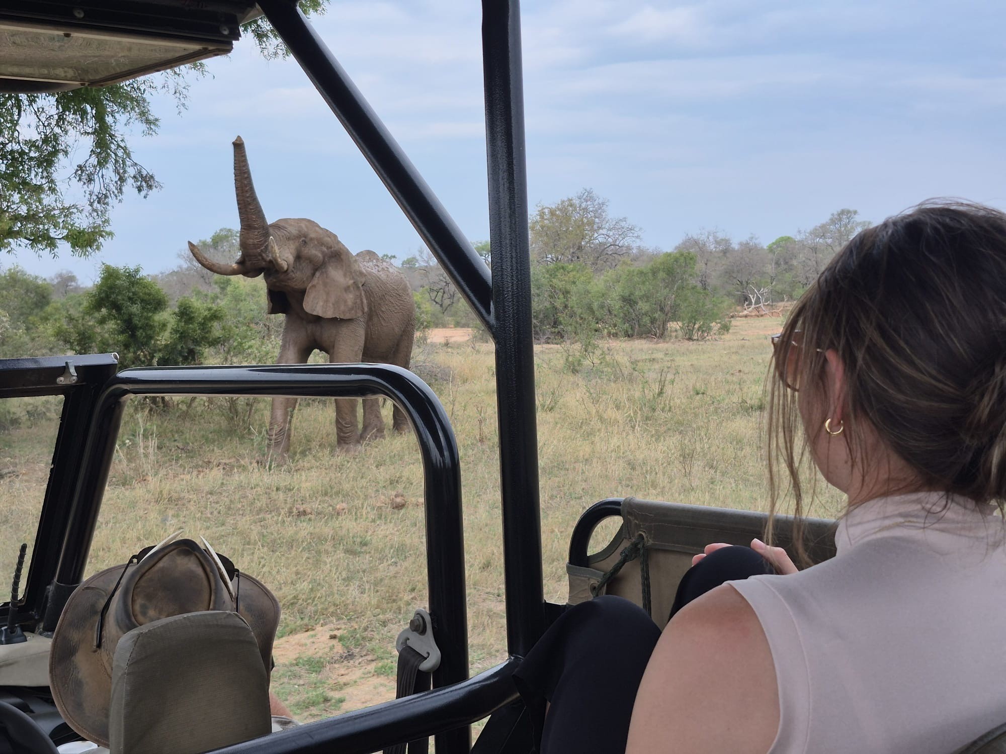 Kilimanjaro Elephant Ride, Arusha National Park, Tanzania – elefant i högt gräs tittar mot kameran, medan fem ryttare till häst på ridsafari i bakgrunden betraktar elefanten i ett grönt och frodigt landskap.