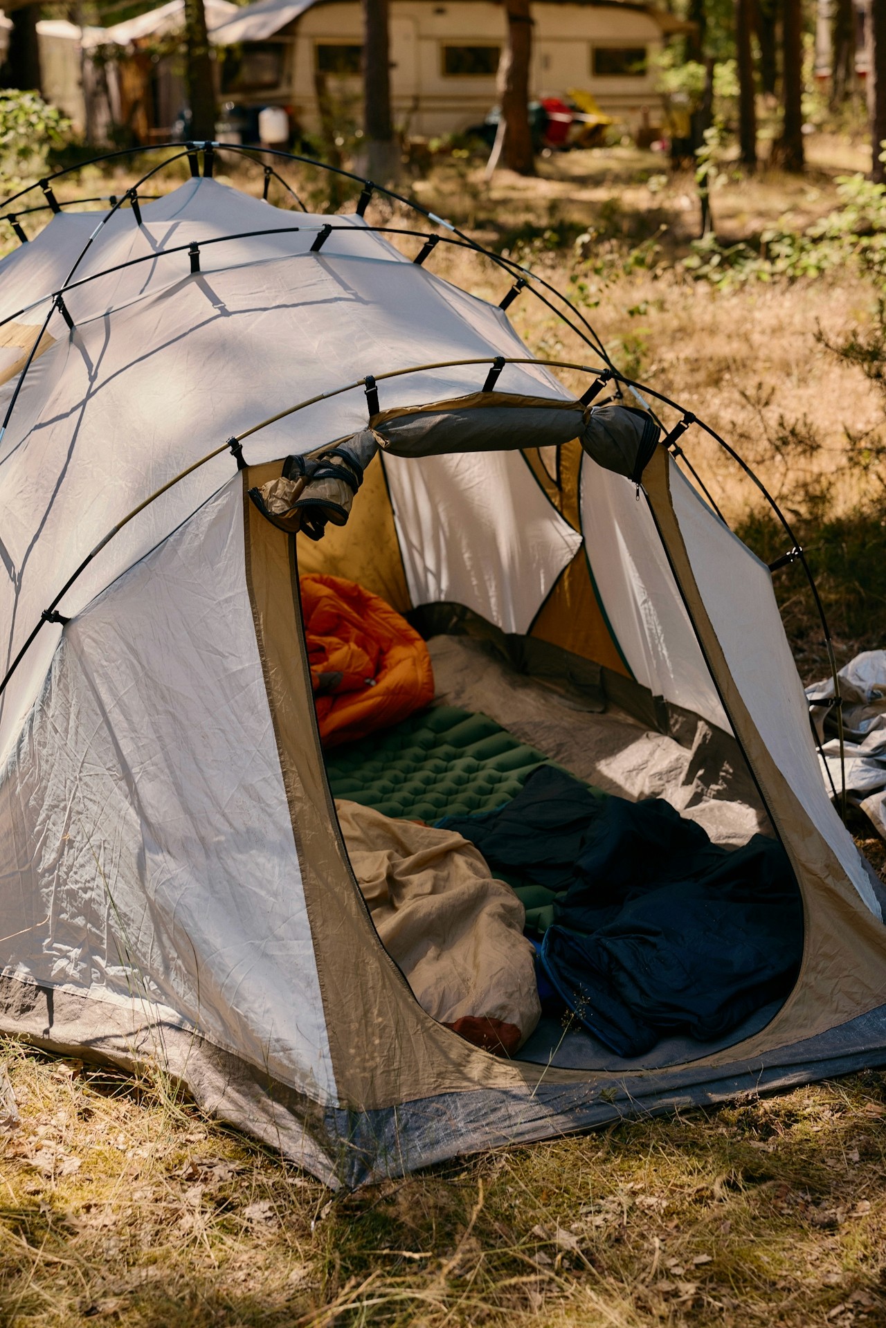 A tent pitched among trees in a forest.