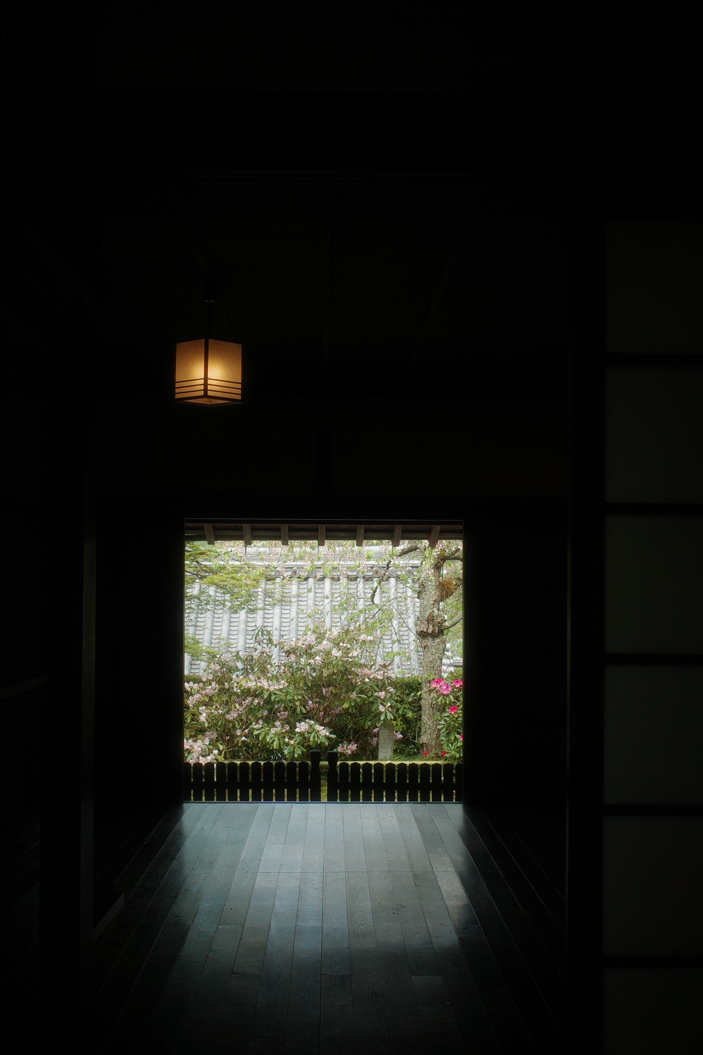 01.