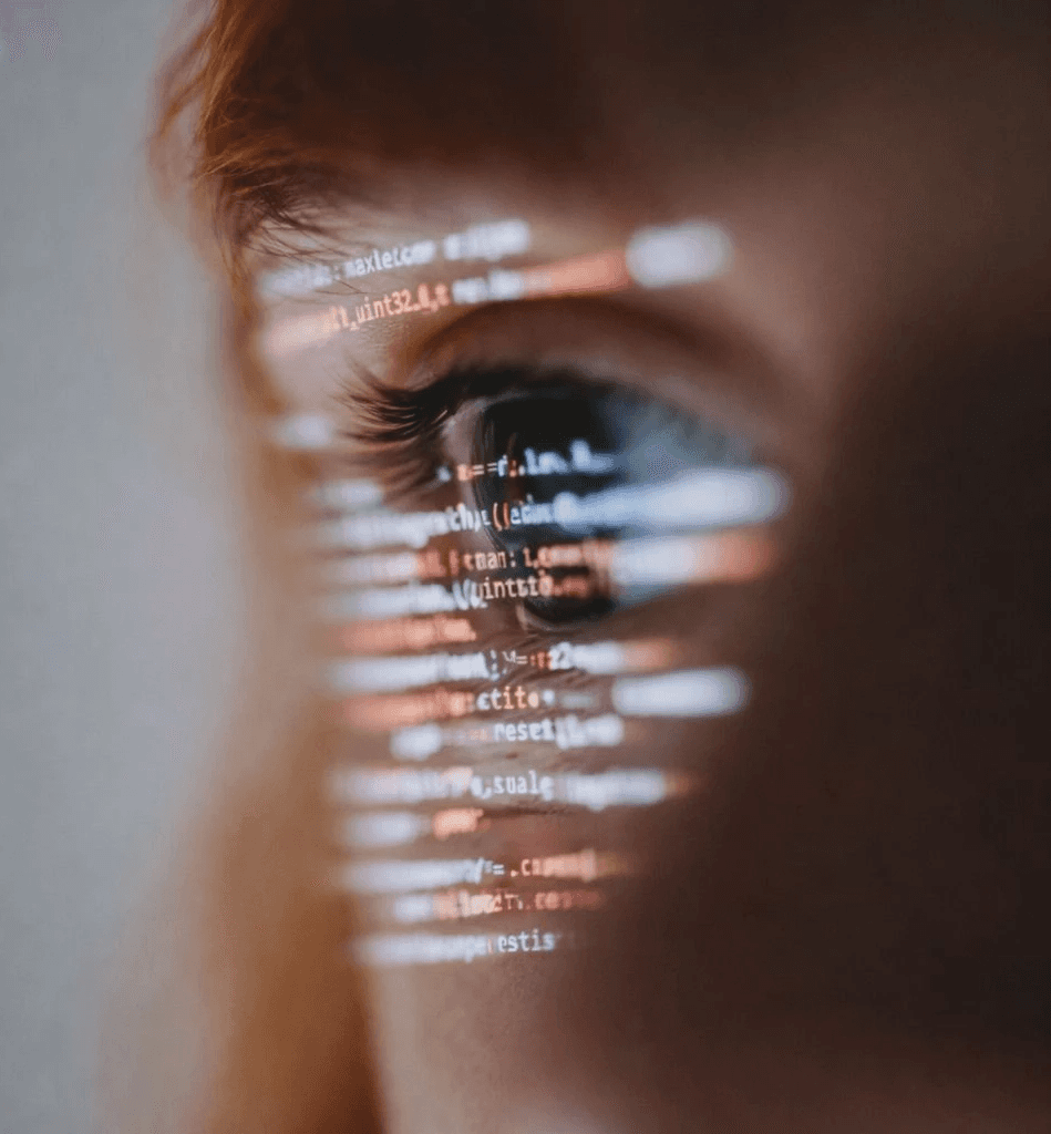 Feedback & Refinement