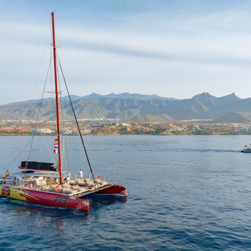 CATAMARANS SAILING