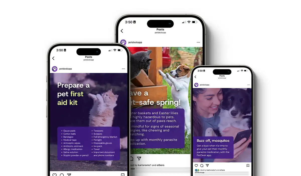 Springtime Social Posts