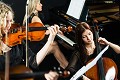 Violinist