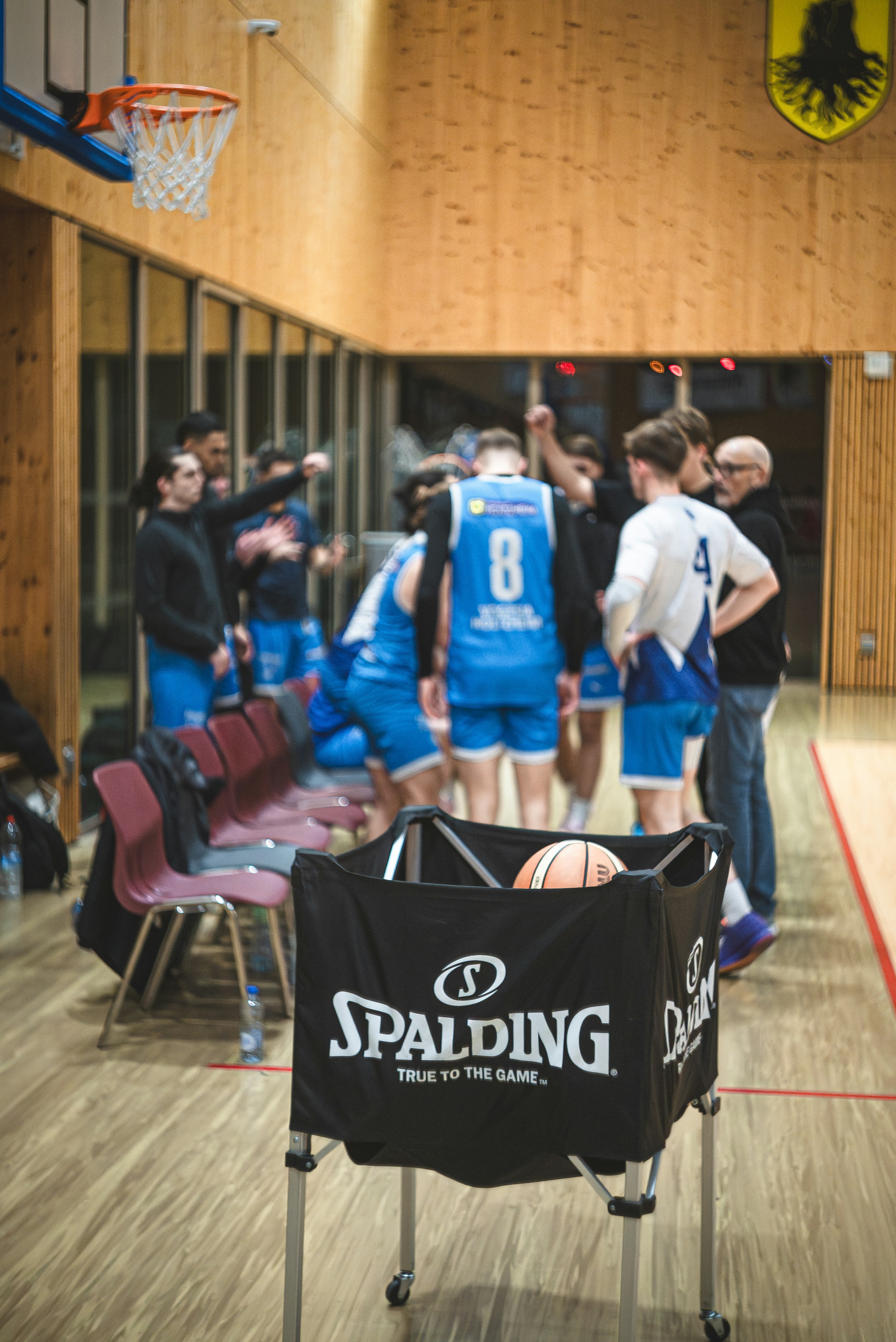 Basketball players huddle together on court.