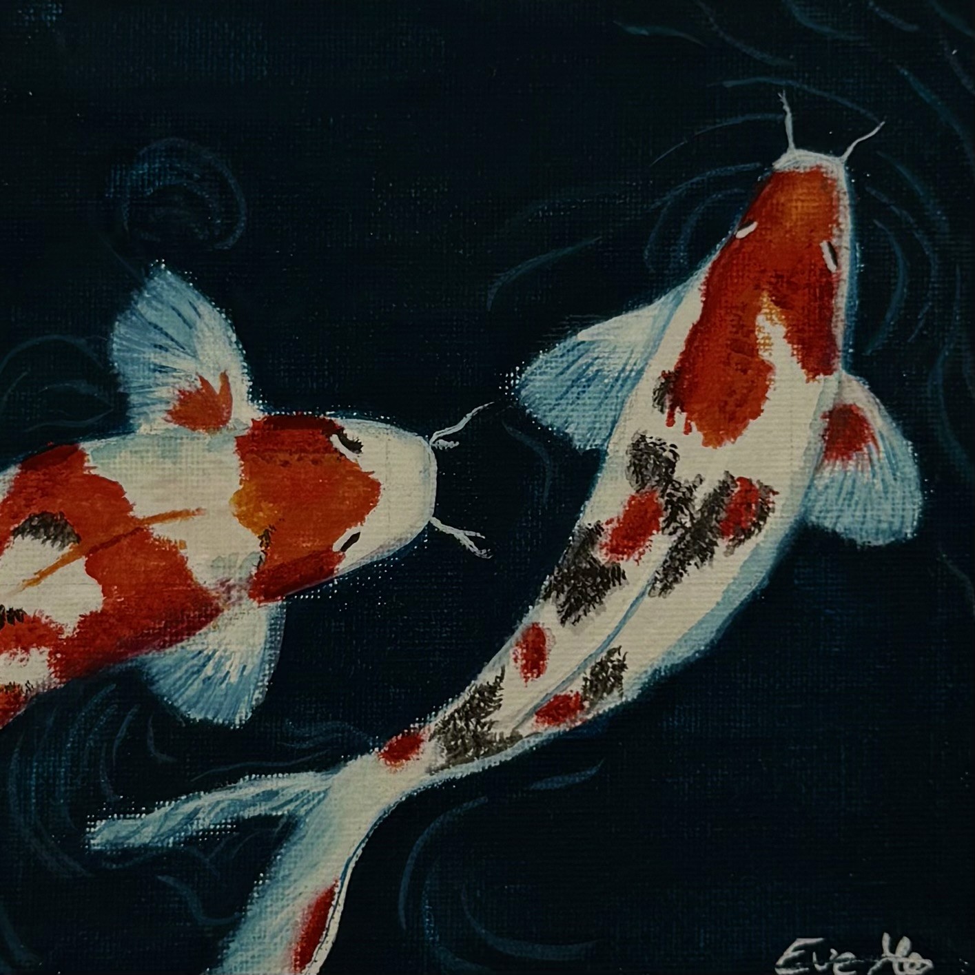 Koi