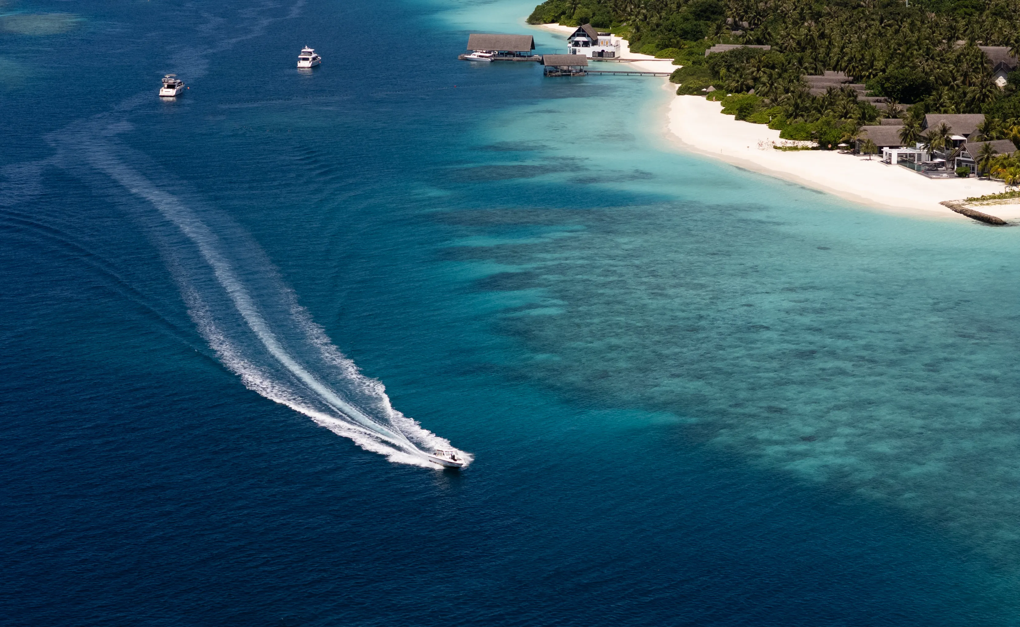 A body of water surrounded by trees and buildings