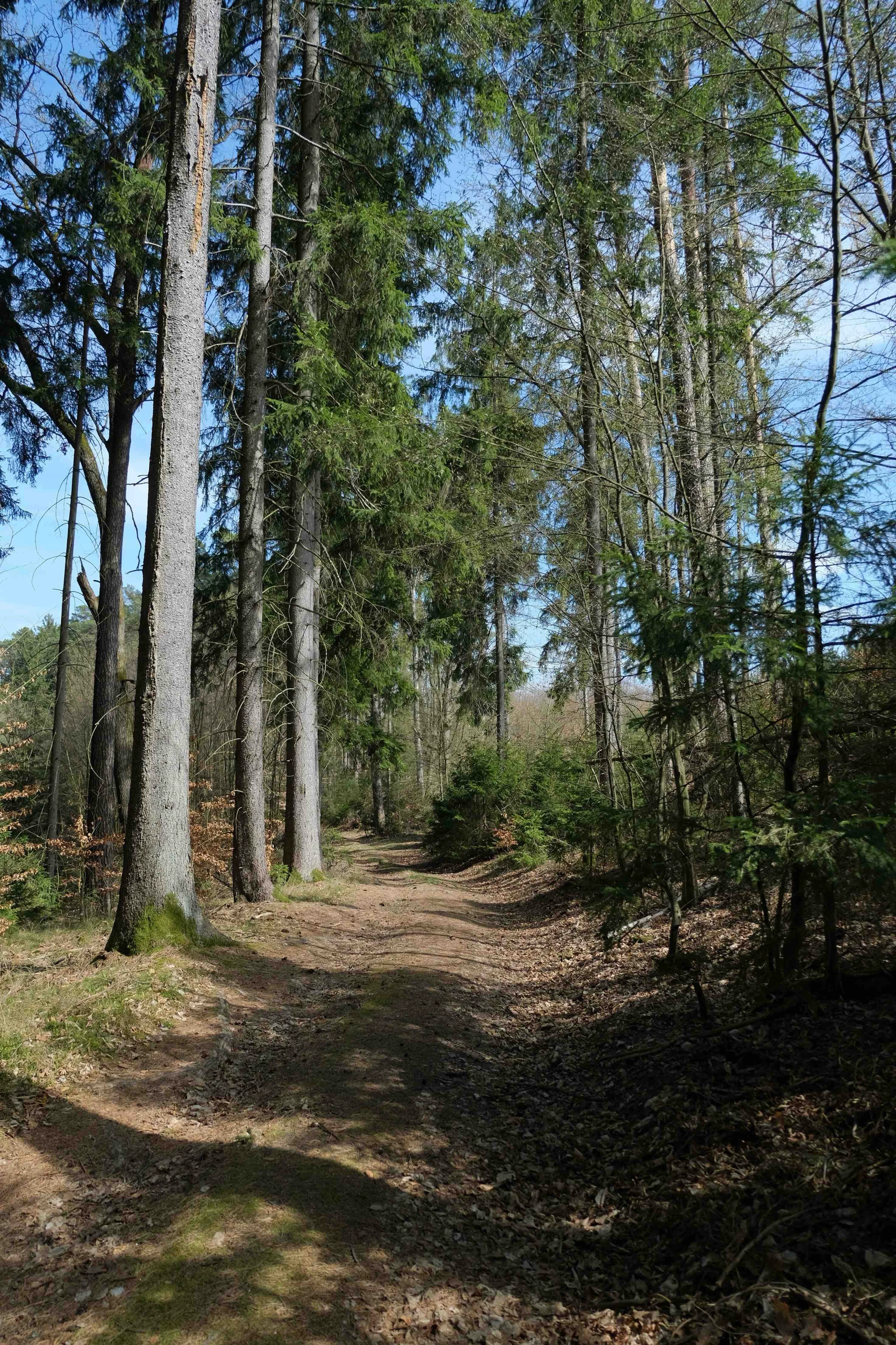 Natur im Rems-Murr-Kreis für Erlebnispädagogik