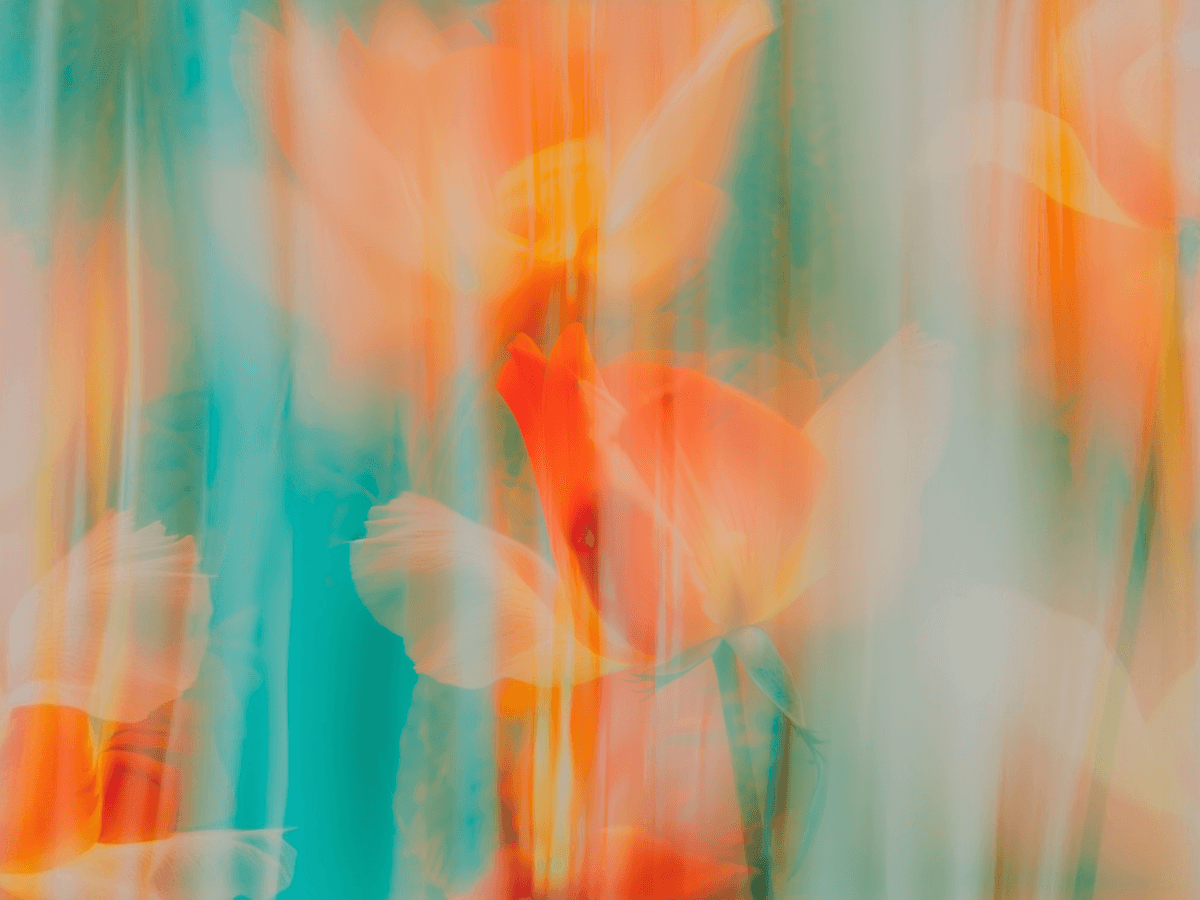 Dreamy Floral Abstract
