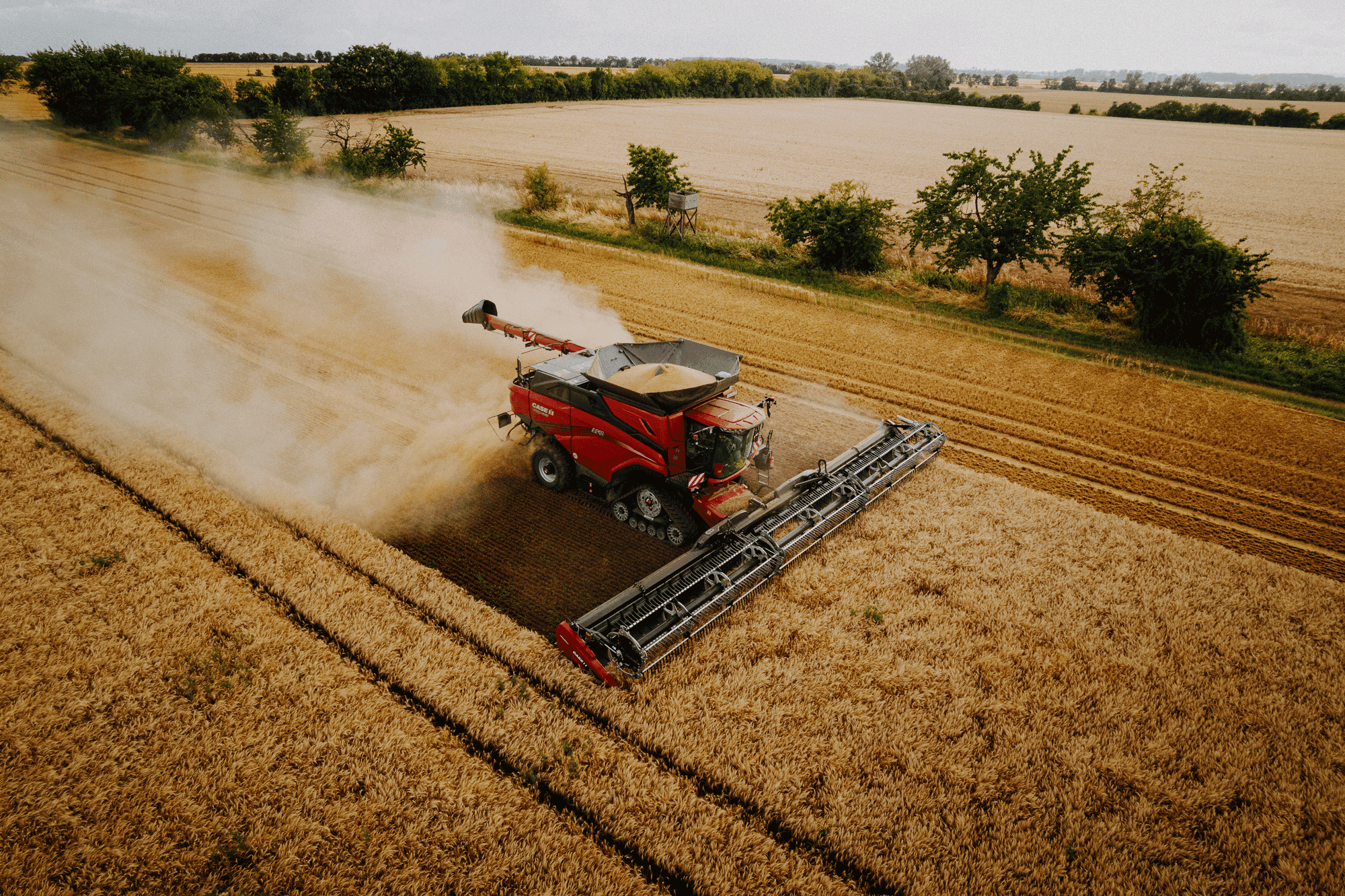 Luftaufnahme eines roten Case Mähdreschers bei der Arbeit in einem goldenen Weizenfeld, mit Bäumen und landwirtschaftlichen Flächen im Hintergrund.