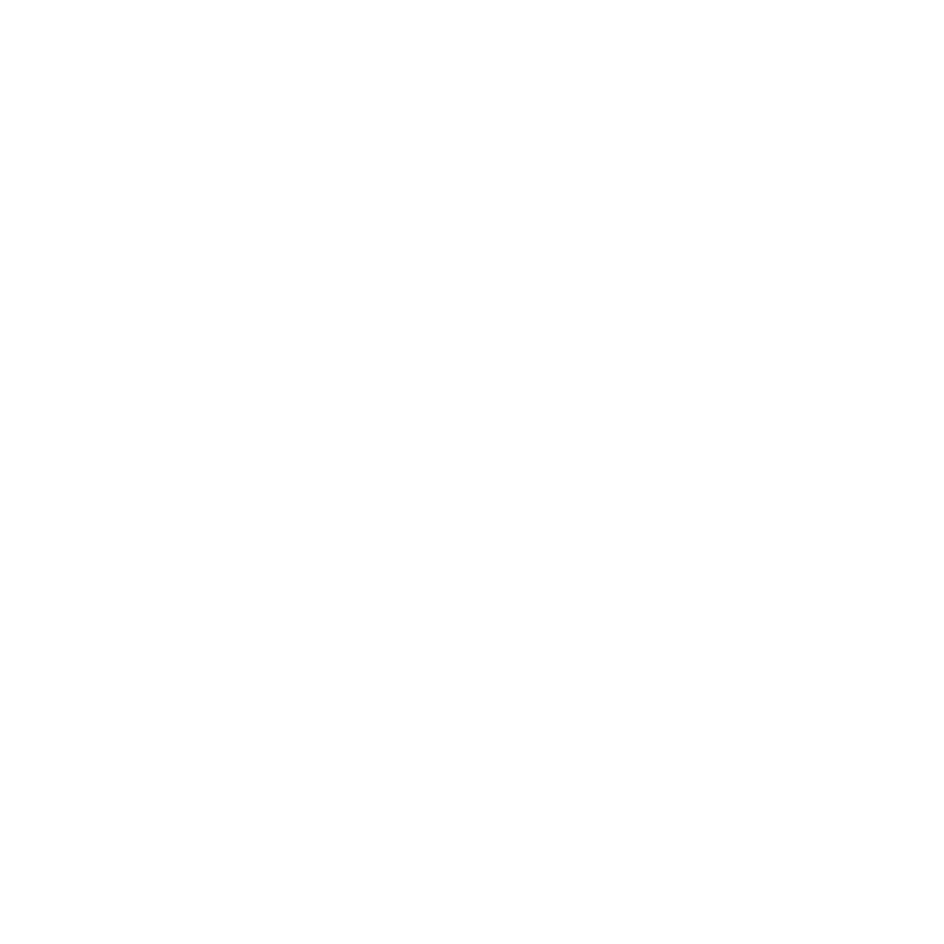 ROAR search marketing agency logo