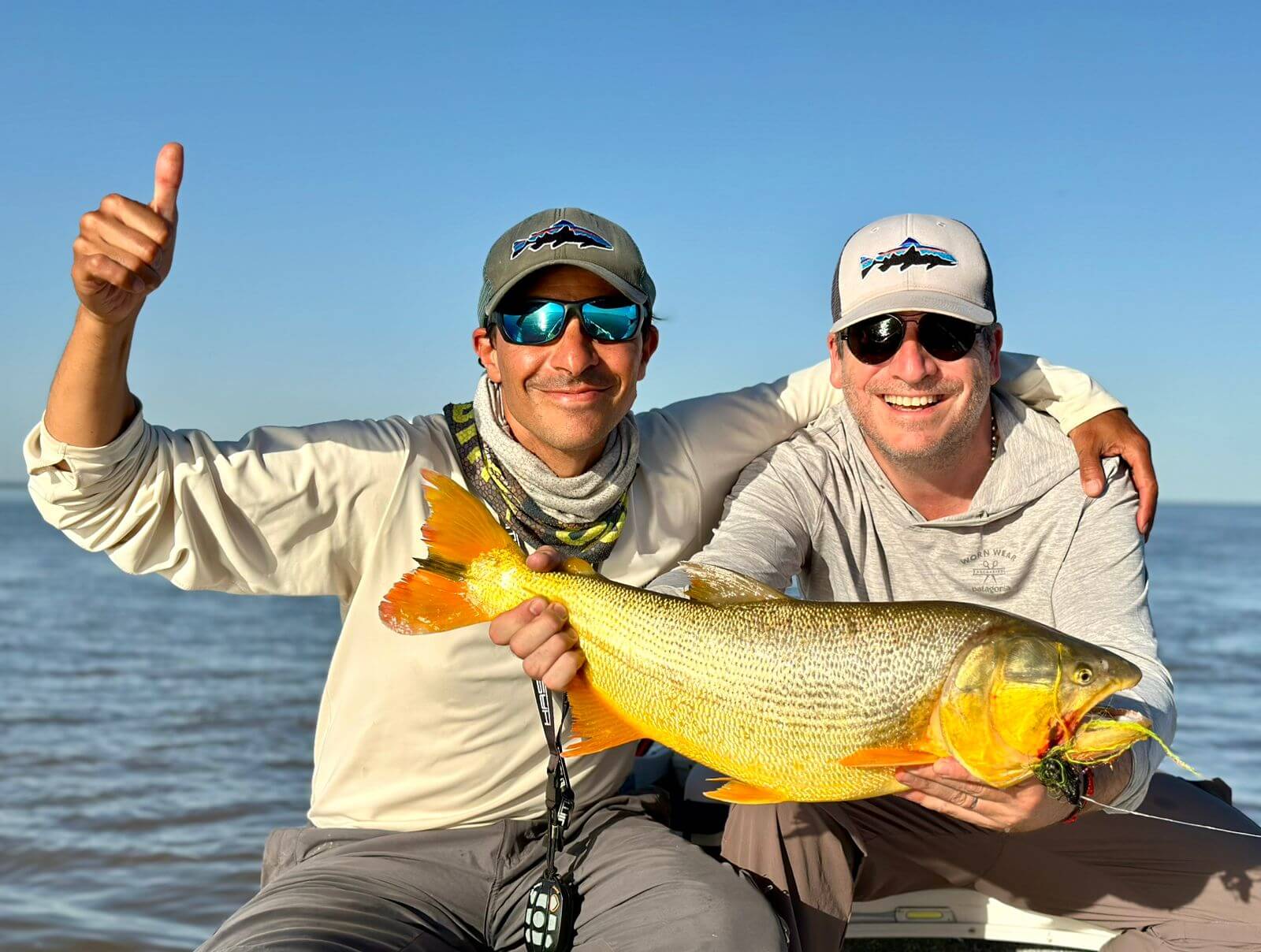 A trophy Golden Dorado caught while fishing the Urban Jungle of Argentina