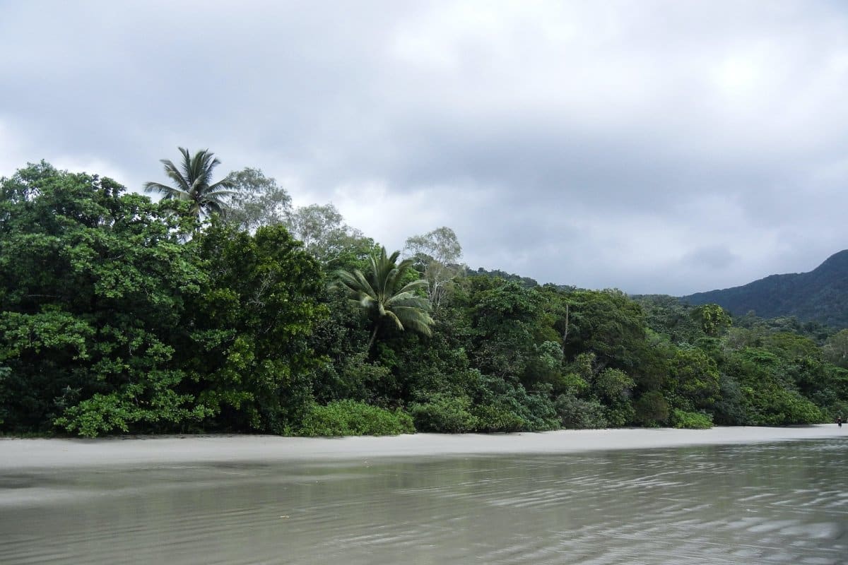 Daintree National Park, Australia