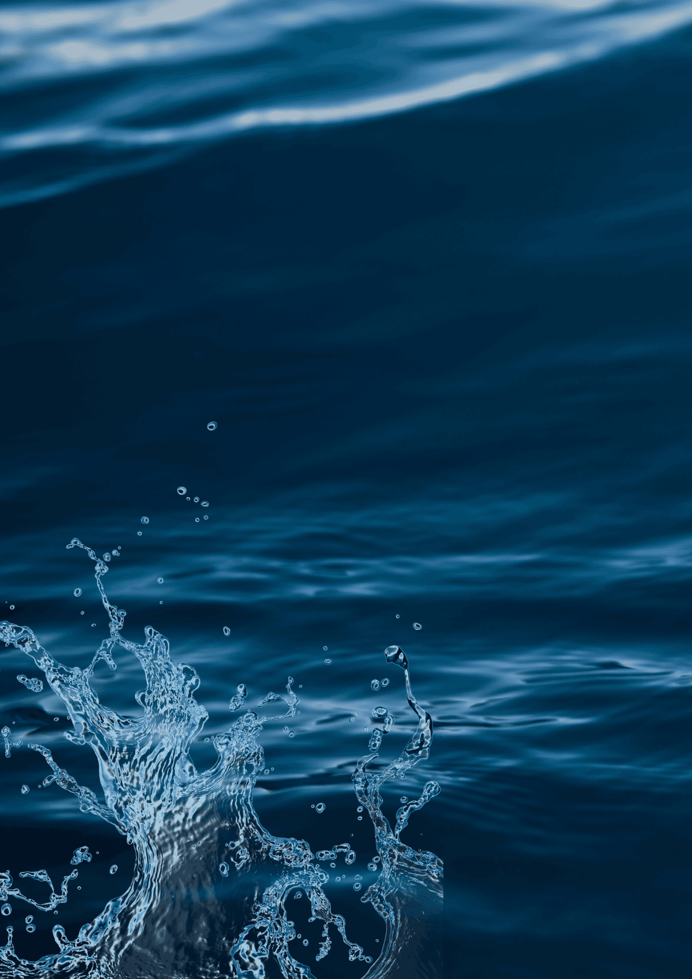 Dynamic picture of a cyclist riding downhill