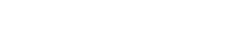 Designfast Logo