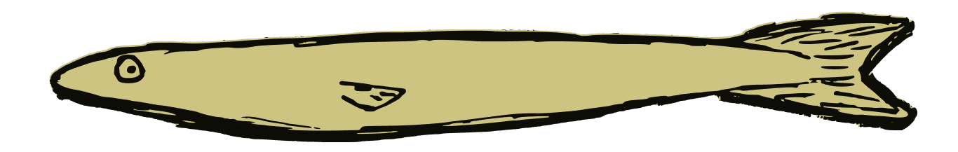 simple line drawn sardine illustration