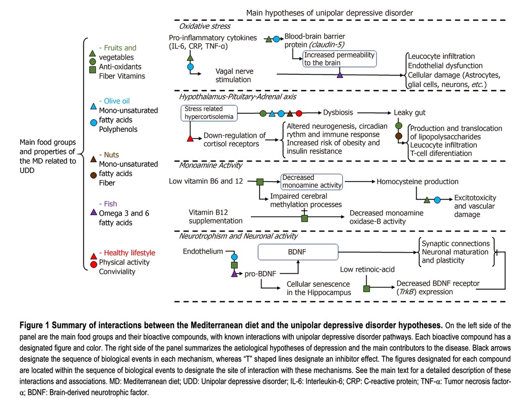 Interactions between the Mediterranean diet and depression