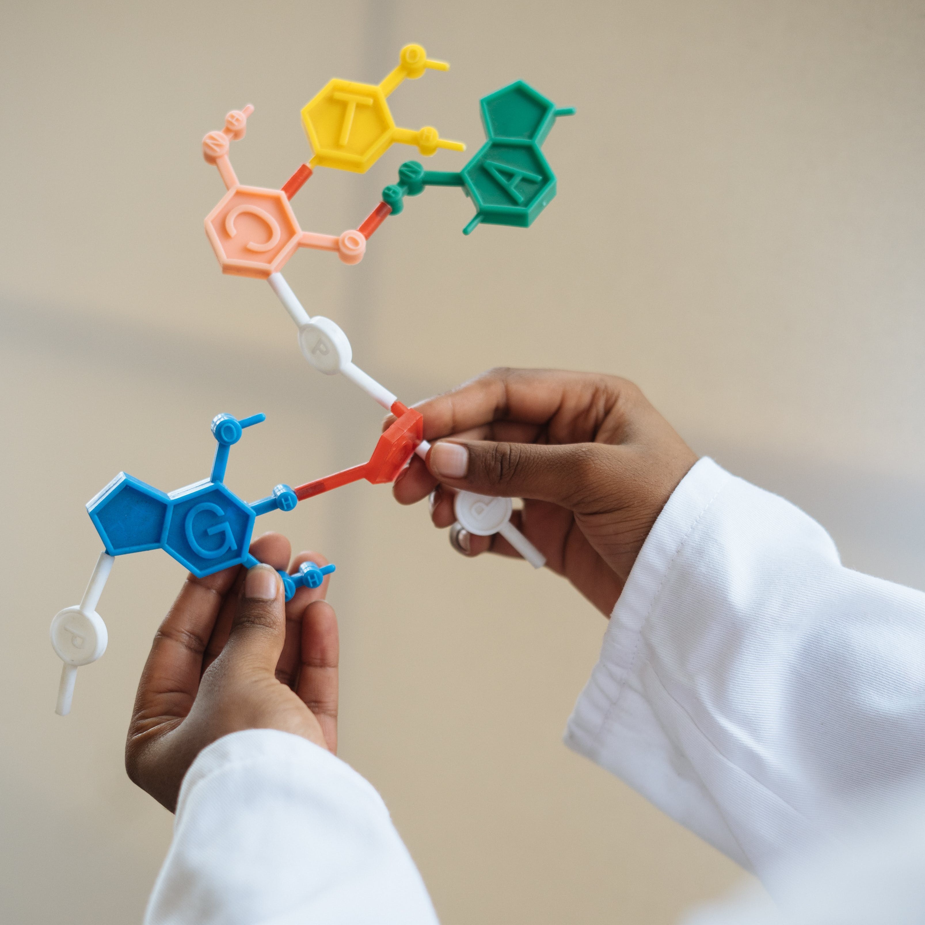 Scientist assembling a molecular model, demonstrating the educational tools used in chemistry to understand molecular structures and reactions, highlighting hands-on scientific exploration and education.