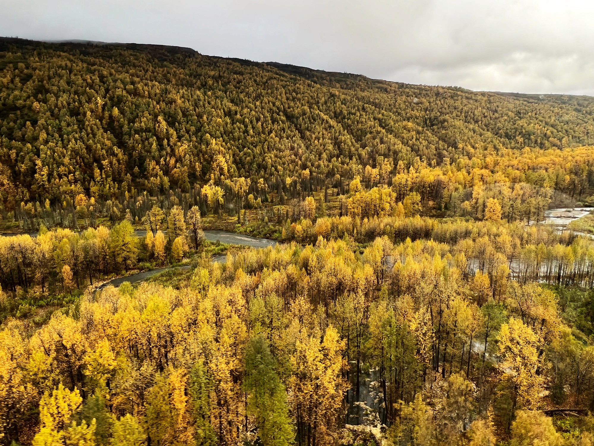 River running through autumn forest