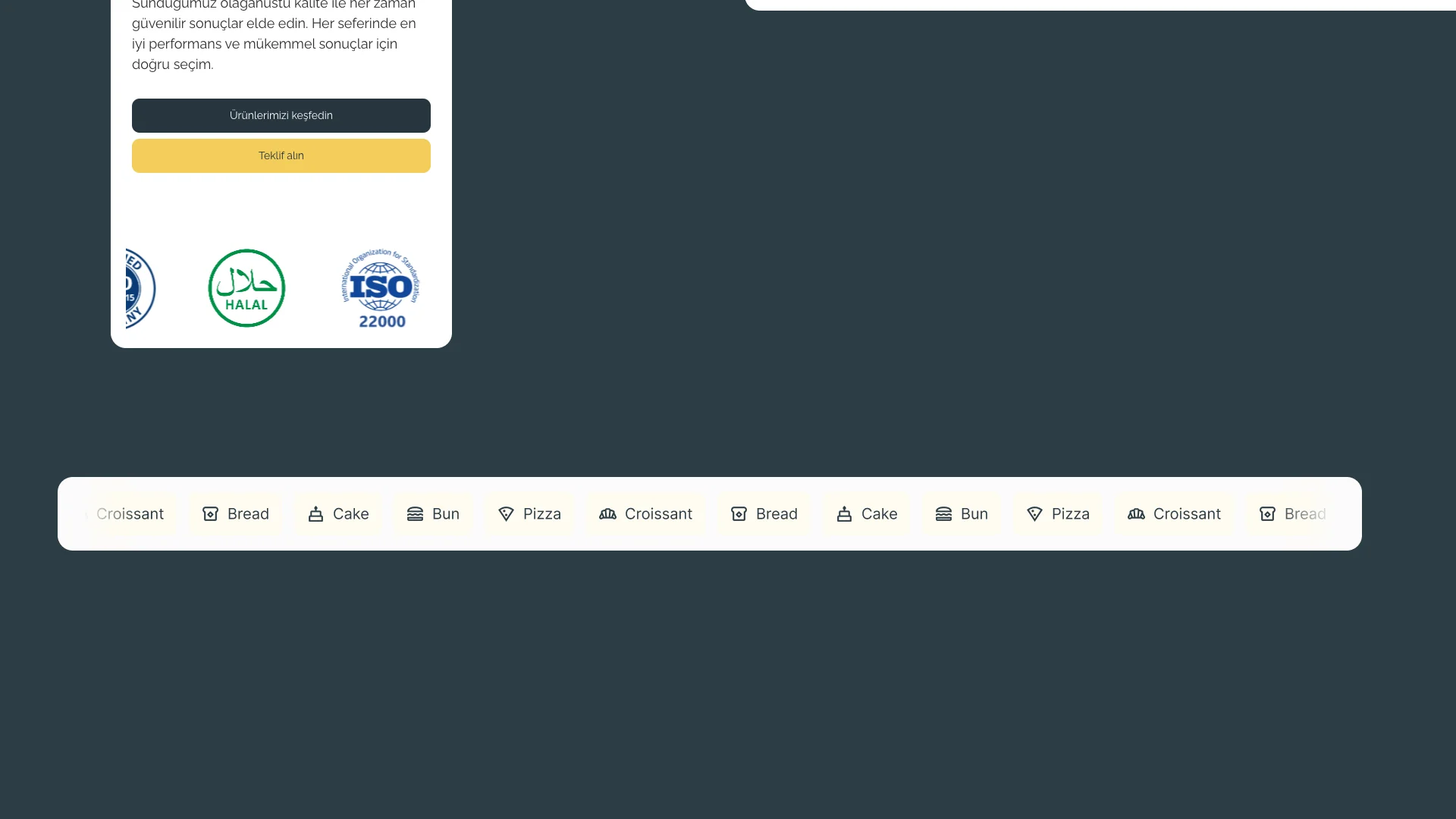 Website showcase mixed 6