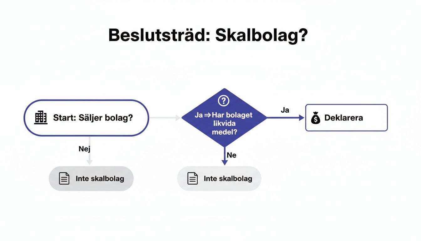 Flödesschema som visar beslutsträdet för att avgöra om ett bolag är ett skalbolag och om det ska deklareras.