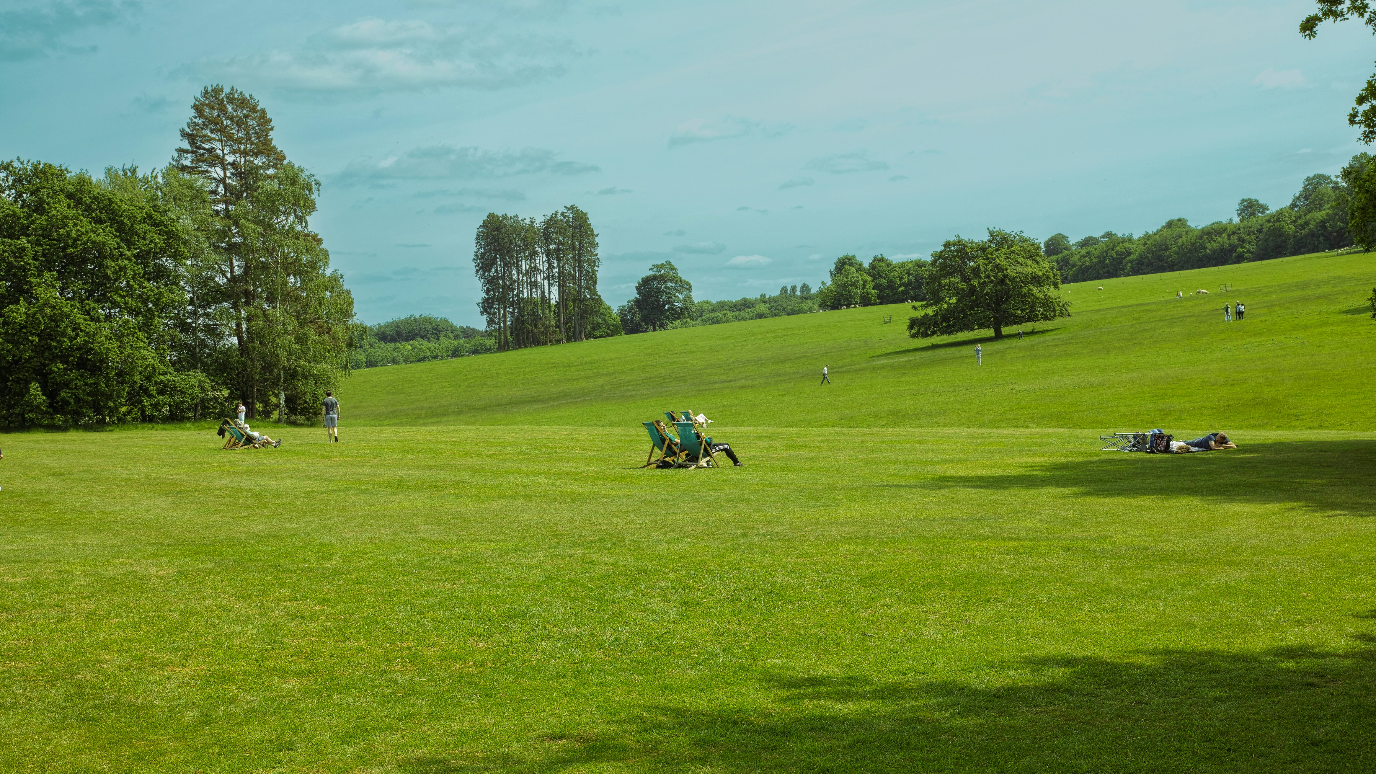 a group of people riding lawn mowers across a lush green field