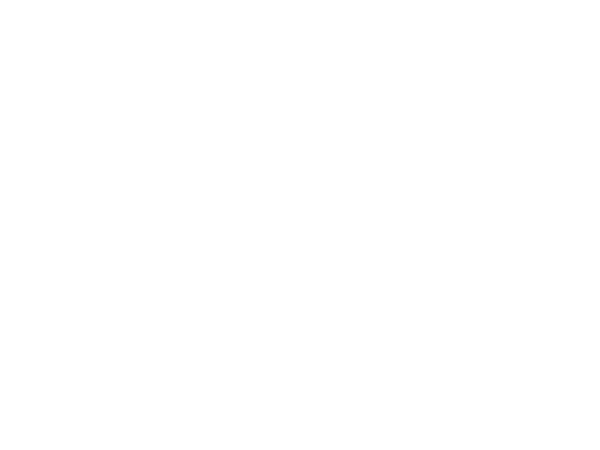 Animas River Surfers