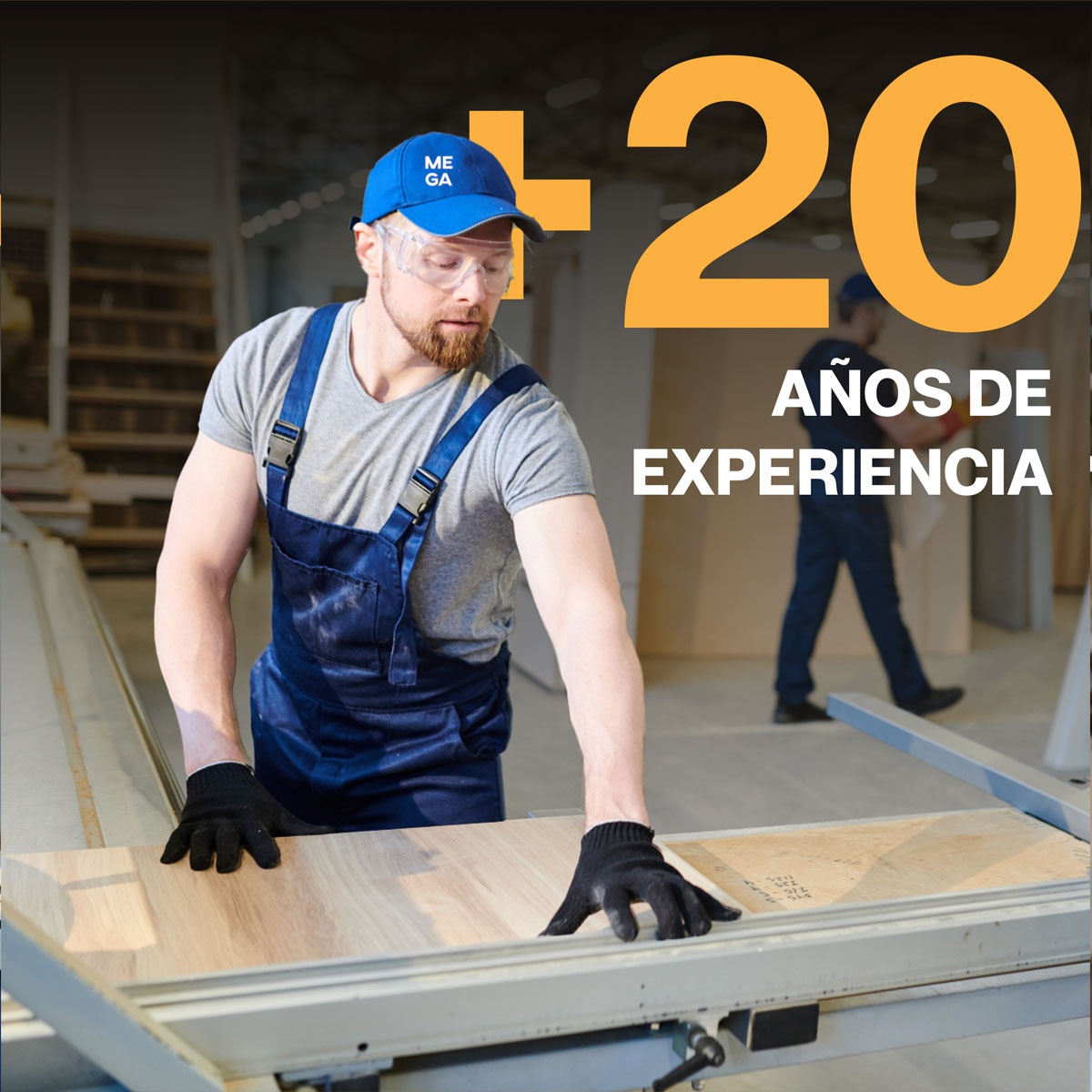 Servicios de calidad para la perfección de tus muebles.