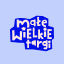 www.malewielkietargi.pl favicon