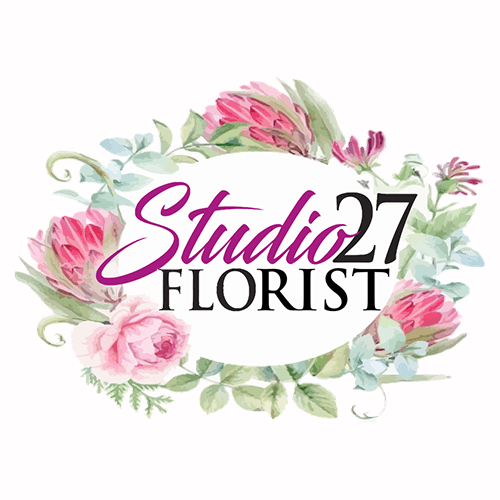 Metacomet Studio logo