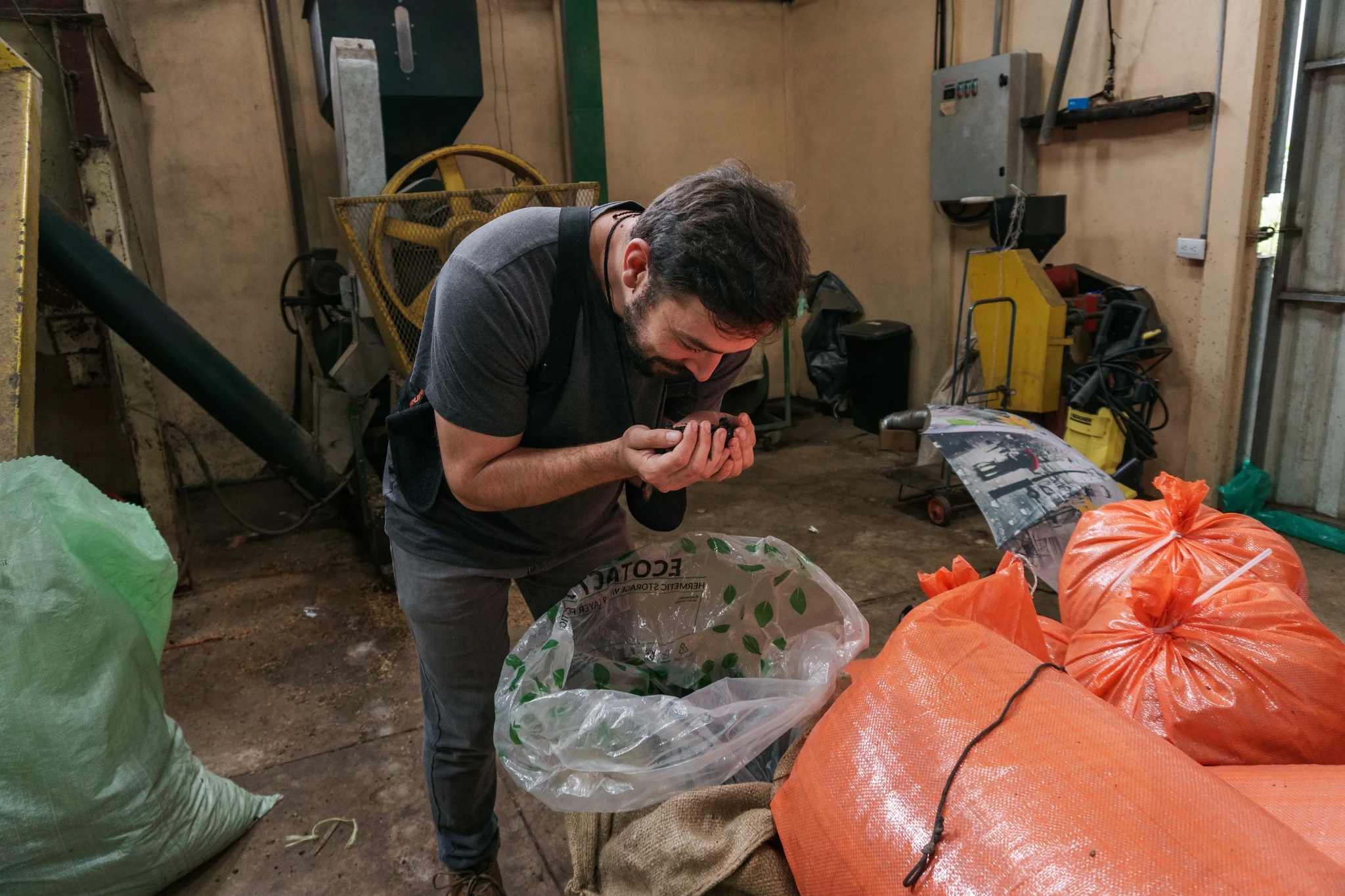 A man bending over a large plastic bag filled with beans, carefully examining and smelling its contents in an industrial setting.