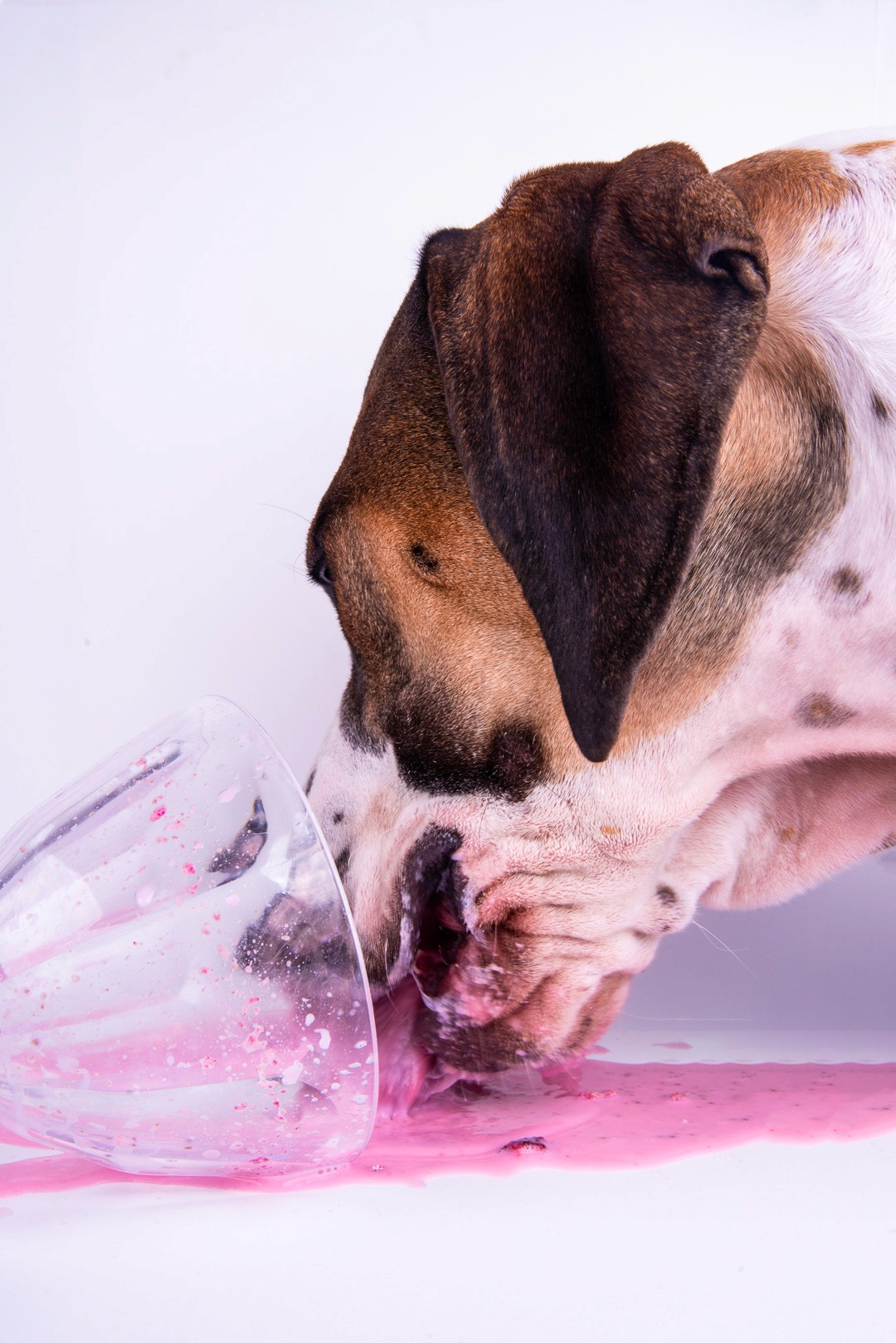 Melbourne Creative Studio & Satellite Studio for Agencies