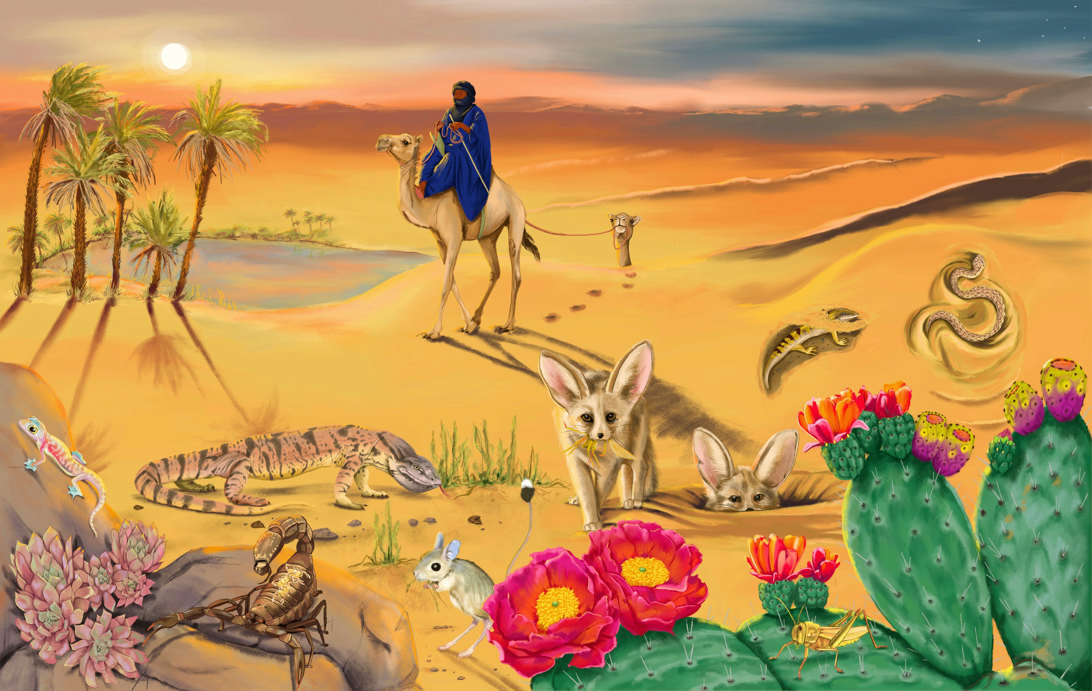 Ein Wüstenszene im Abenrot. Mit Kakteen und Palmen an einer Oase. Ein Tuareg reitet auf seinem Kamel. Im Vordergrund sind Schlangen, ein Waran,ein Füstenfuchs und ein Skorpion