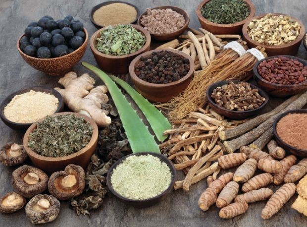 Herbal Care - Approach Image - Healing Elements Ayurveda