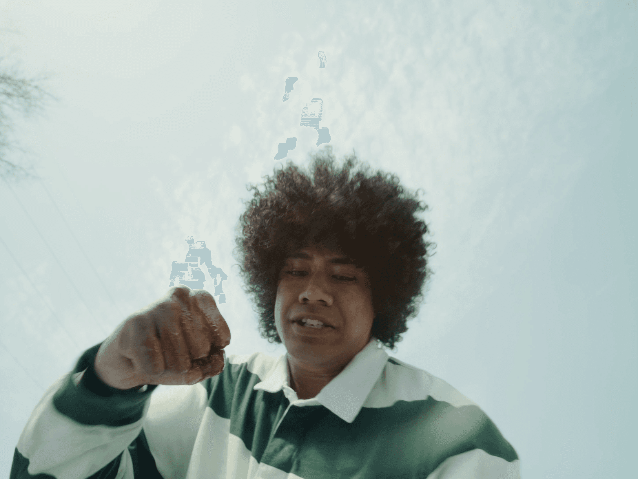 Petal Frames Project