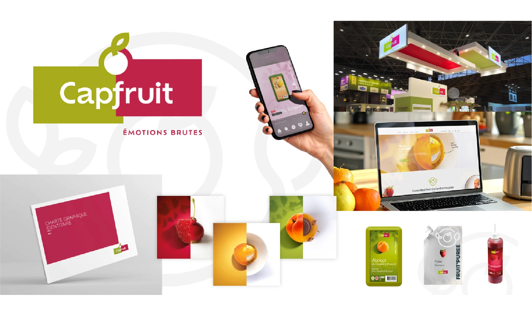 Territoire visuel de Capfruit décliné sur plusieurs supports
