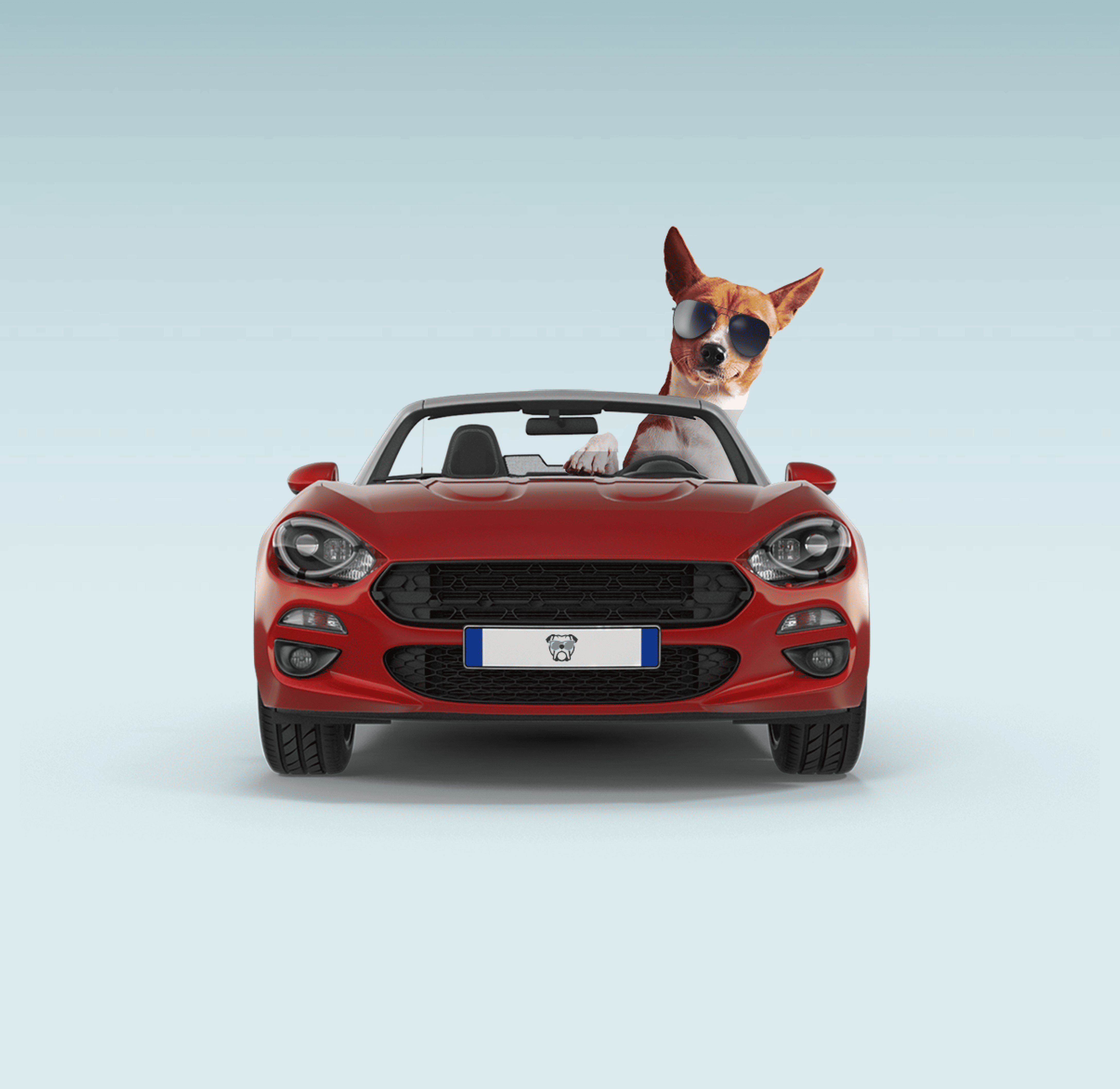 A dog wearing sunglasses sitting in the driver's seat of a red convertible sports car, shot straight-on against a light blue background