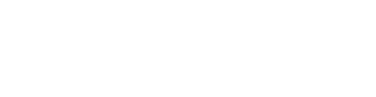 Sucher