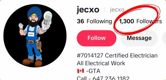 TikTok profile on day 1 with 1,300 followers