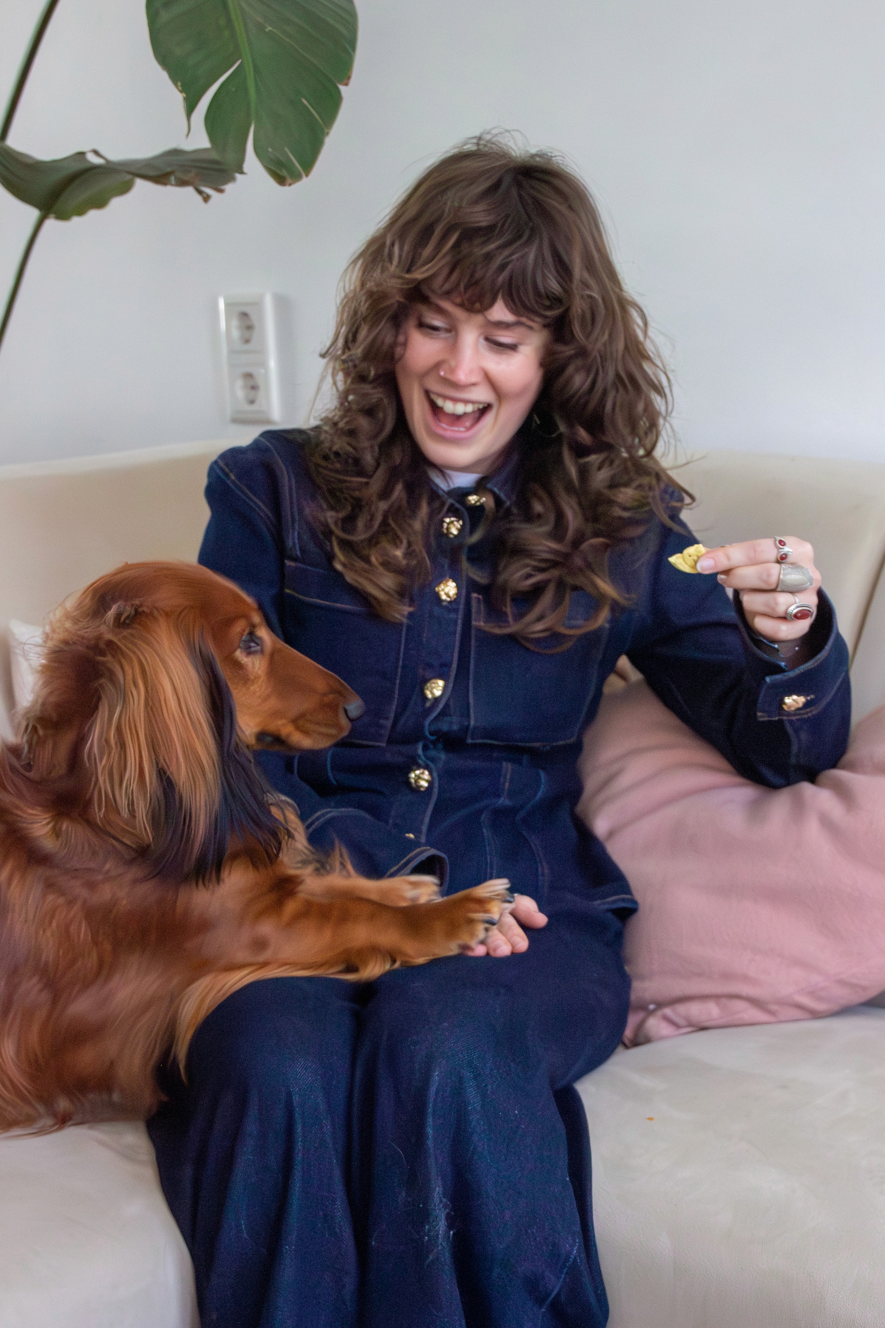 Find your pet sitter via Charly Cares