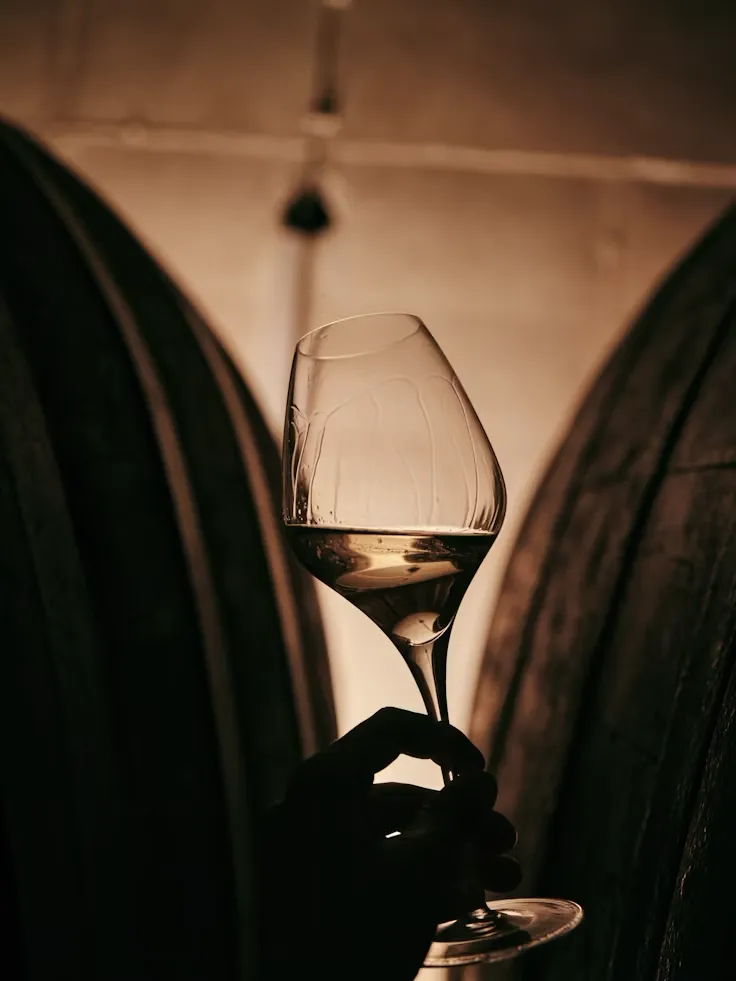 A champagne glass held in the dark