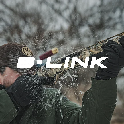 B-Link technology