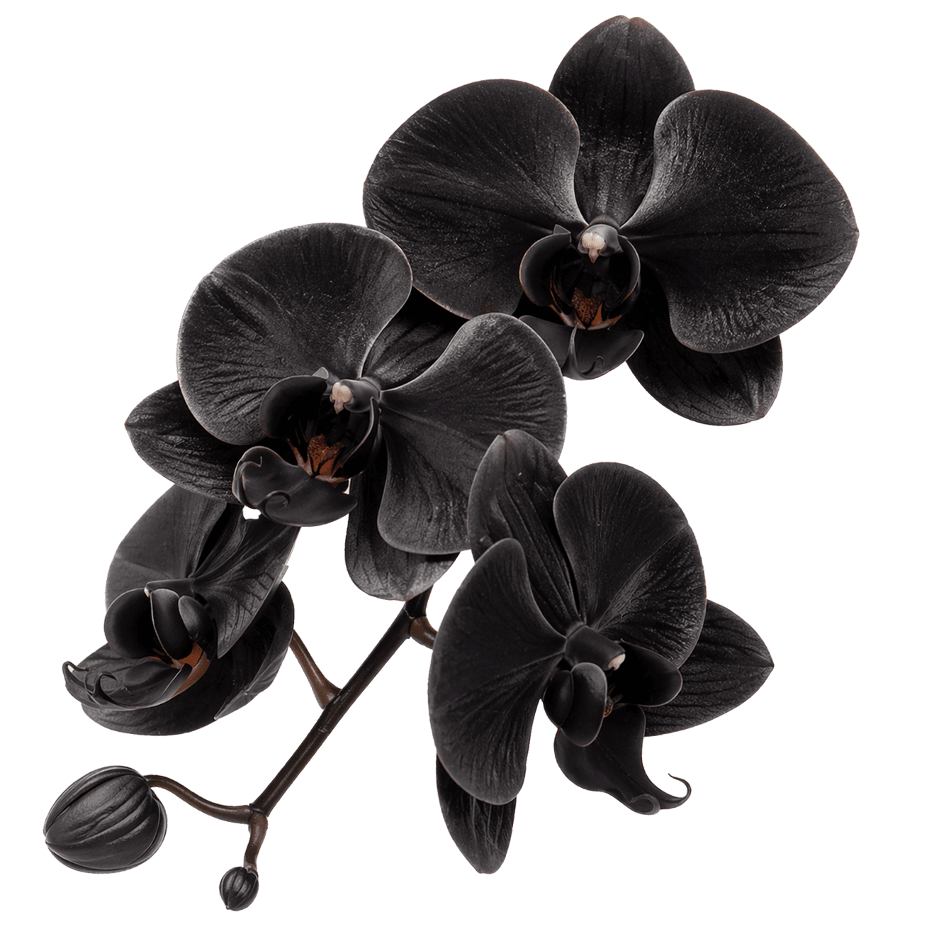 Macro of iridescent purple soap bubbles—dewy, textured beauty-foam cluster on a transparent background.