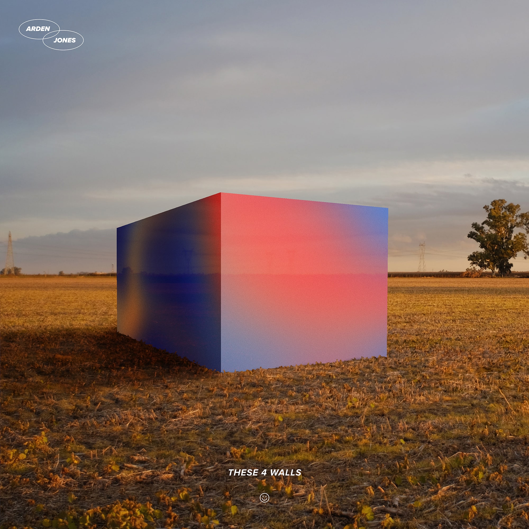 Cobi Stancik - Album Art - 'These 4 Walls'