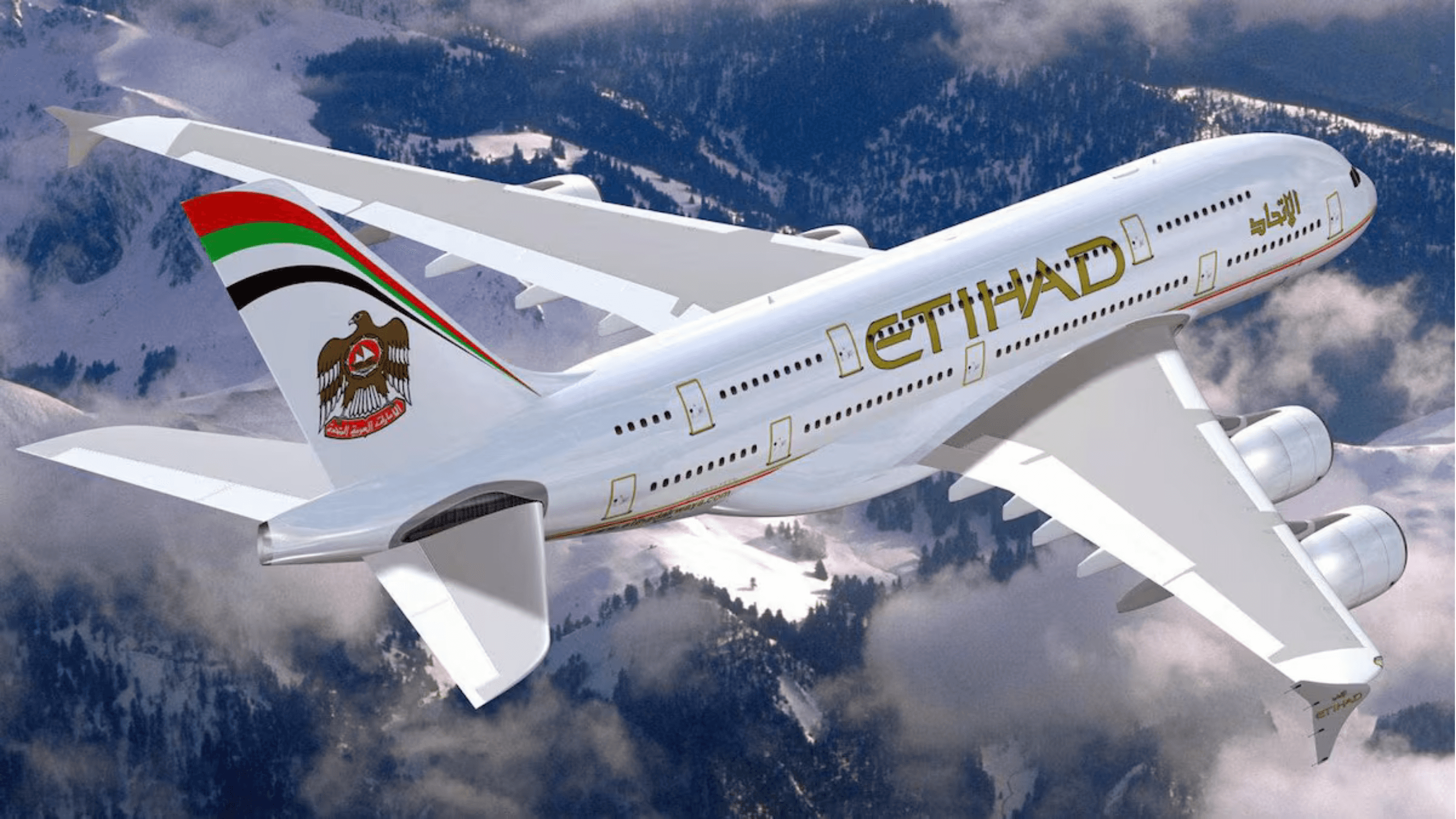 Etihad airlines image