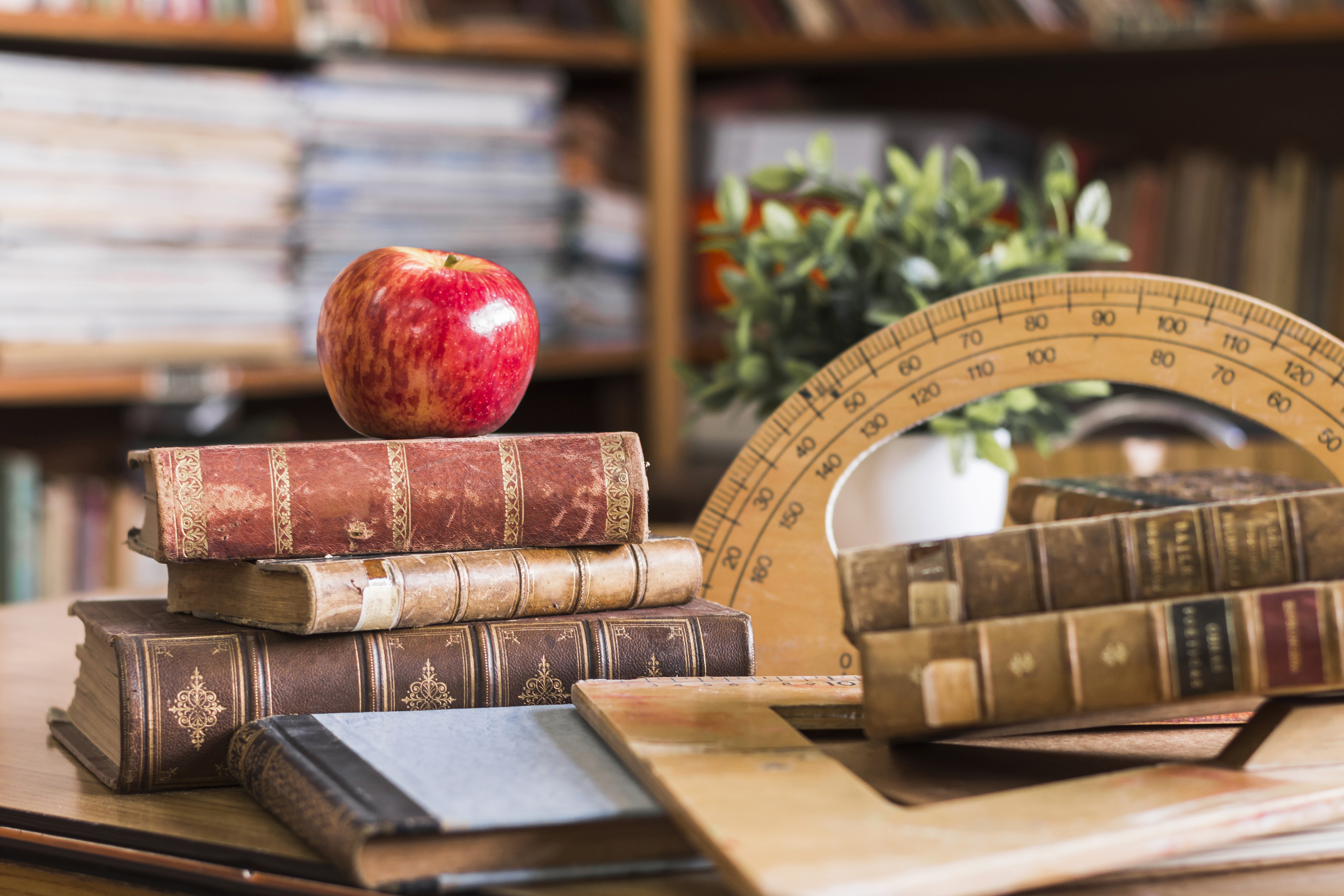 Image representing Bachelor of Aarts - Appli