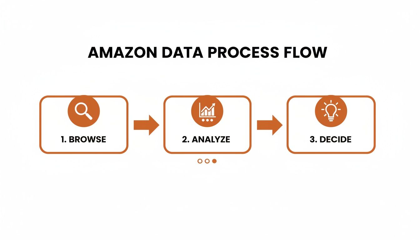 Amazon data process flow diagram showing steps: browse, analyze, and decide with icons.