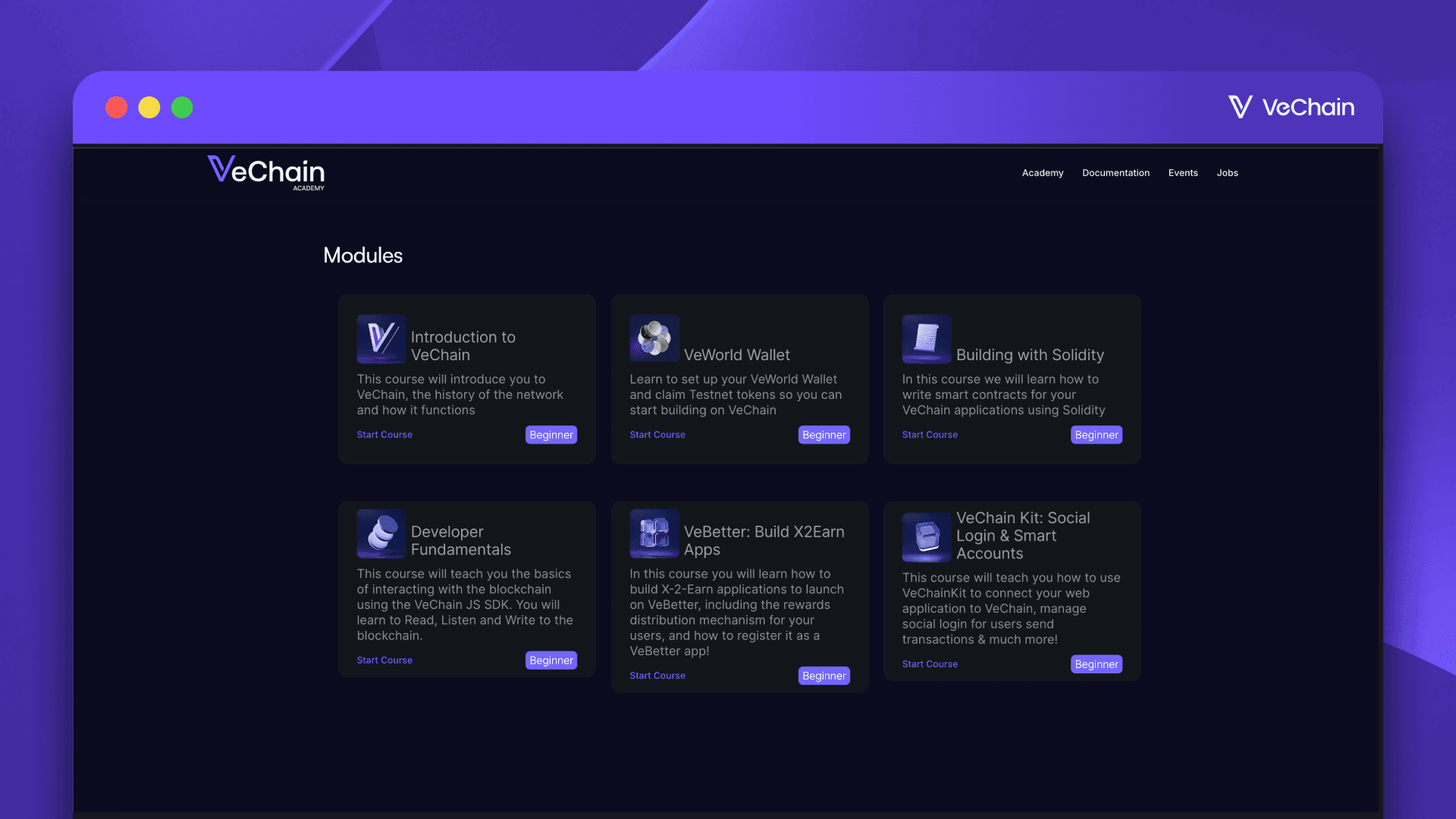 introducing vechain builders academy