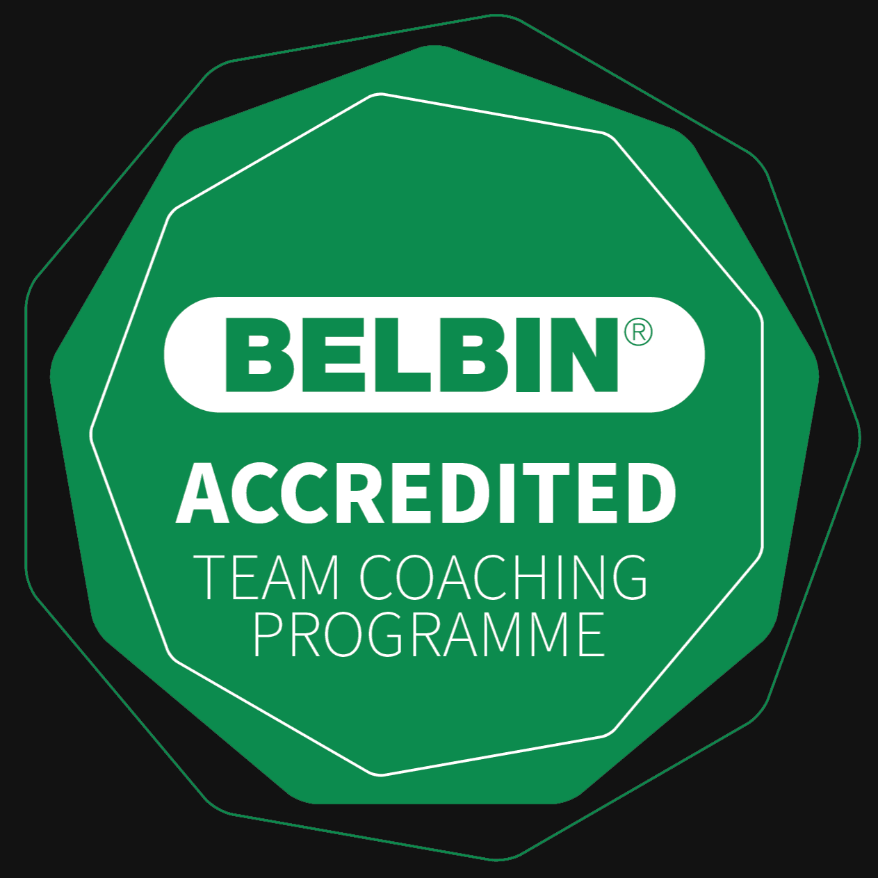 Belbin Accredited Team Coaching Programme