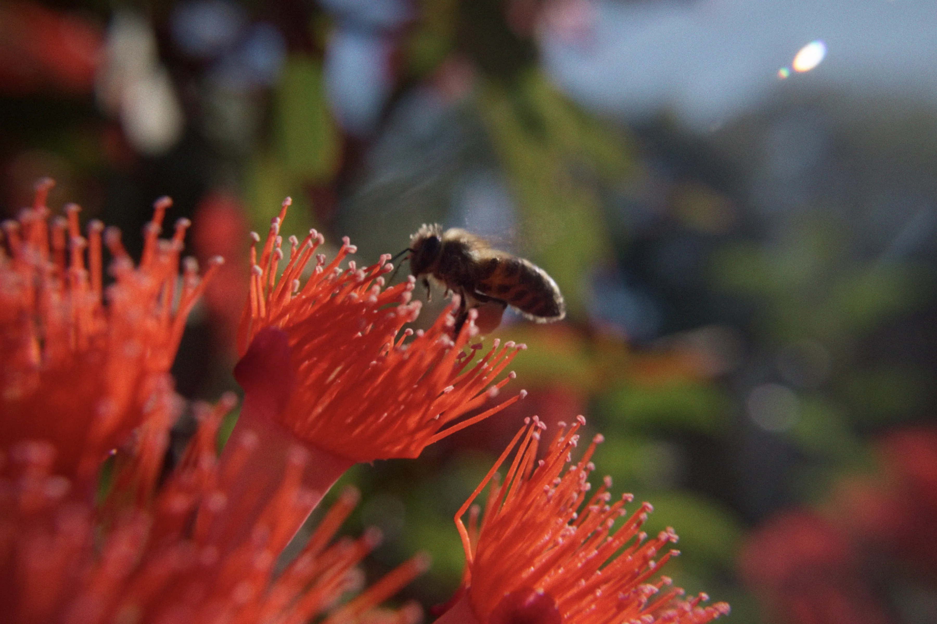 A woman with white blouse hugging jars of gummy