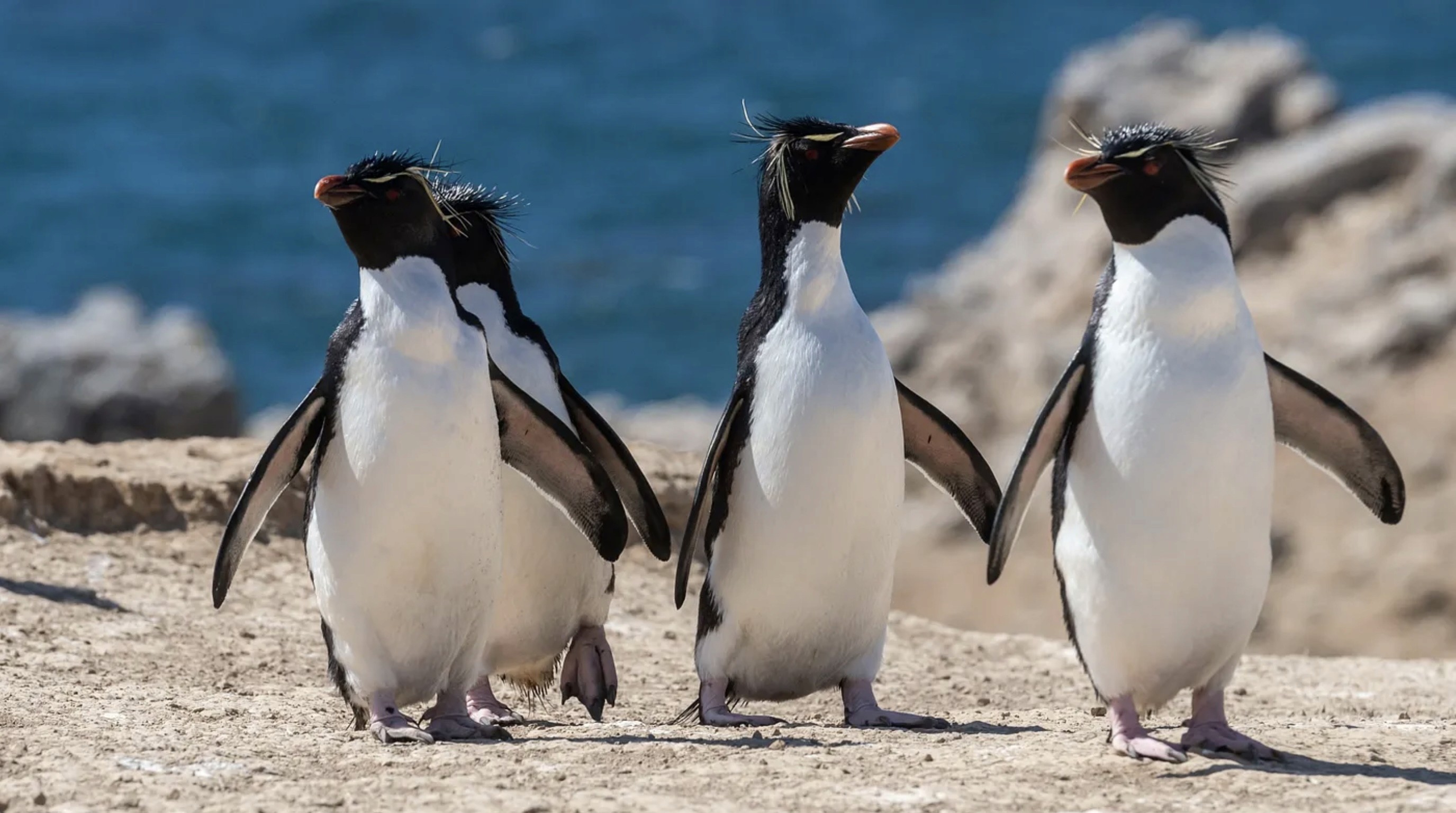 Designing for User Experience: Key Considerations